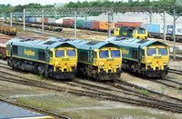 Freightliner 66525, 66549 and 66554