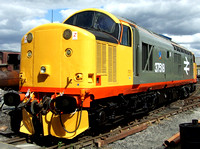 Railfreight Large Logo 37518