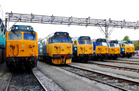 50050, 50049, 50044, 50026, 50017 and 50007