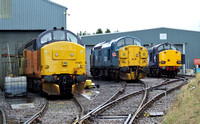 Three's up. Colas Railfreight 37421, 37099 (37324) in BR Blue, also a Colas loco, and DRS 'Compass Revised' 37609