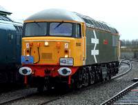 Railfreight Large Logo 56040