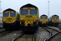 Freightliner 66593, 66503, 66603 and 66617