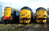 20305, 37419 and 37606