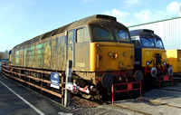 57008 and 57302