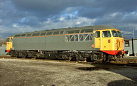 Railfreight 56081