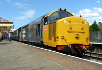 Railfreight Large Logo 37901