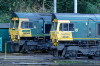 Freightliner 66501 and 66549