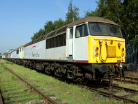 Fertis 56058 leads several other type 5's stored