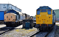 Civil Engineers 'Dutch' 37255 and BR Blue 31128