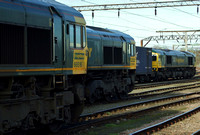 Freightliner 66516, 66563 and 66593