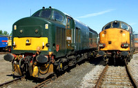 Green 37411 and DRS 37059