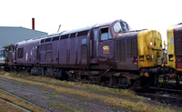 Royal Scotsman 37416