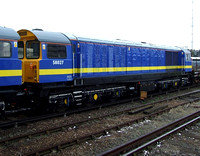 Continental Rail 58027