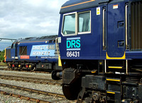 DRS 37610 and 66431
