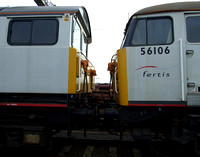 Fertis 58035 and 56106