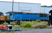 Blue 56009