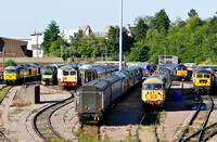 56091, 37905, 58016, 56098, 47812 and 47727