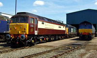 DRS Northern Belle 47790 with 37604 and 66303
