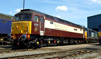 DRS Northern Belle 47790 with 37604