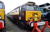 DRS Northern Belle 57312