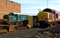 BR Green 37411 and EWS 37417