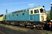 BR Blue class 33116