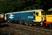 Large Logo Blue 73114