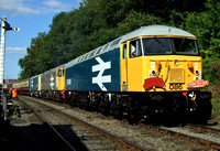 Large Logo Blue 56086 leads 56040 and 73114