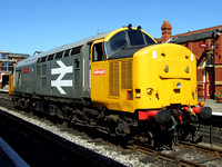 Railfreight Large Logo 37901