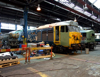 Large Logo Blue 50035 and BR Blue 37308