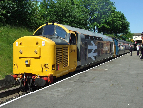 Railfreight Large Logo 37901