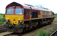 EWS 66186