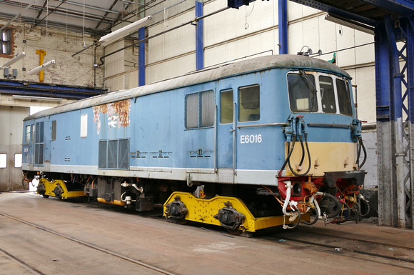 BR Electric Blue 73110