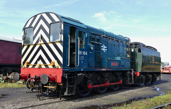 BR Blue 08164