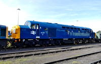 BR Blue 40135