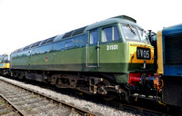 GW Green 47402