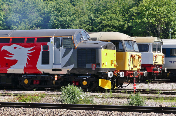 37510, 56098 and 58016