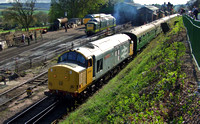 Railfreight Large Logo 37901