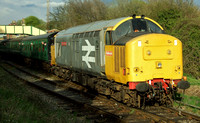 Railfreight Large Logo 37901