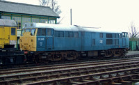 BR Blue 31235