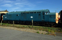 BR Blue 37003