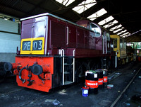 Maroon class 14