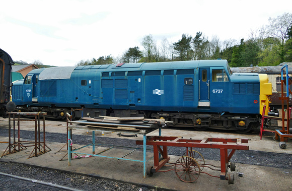 BR Blue 37037