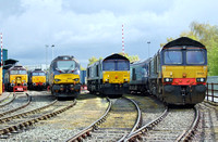 57312, 57003, 68001, 66431 and 66425