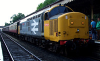 Railfreight Large Logo 37901