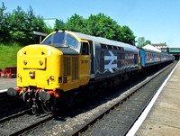 Railfreight Large Logo 37901