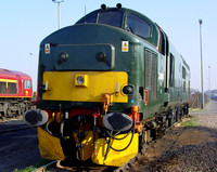 GW Green 37411